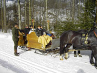 Kutschenfahrt