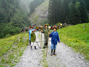 Alpen