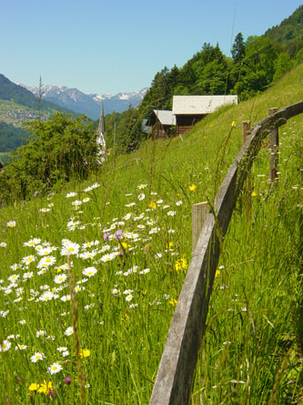 Gro&szlig;es Walsertal