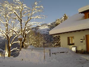 winter